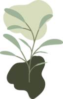 illustration de design plat dessiné à la main feuille florale png