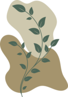 Botanical floral Hand drawn with organic blob shape, leaf and branch element for design png