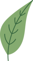 illustration de design plat dessiné à la main feuille florale png