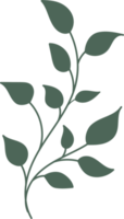 illustration de design plat dessiné à la main feuille florale png