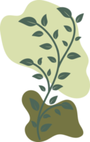 Botanical floral Hand drawn with organic blob shape, leaf and branch element for design png