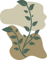 Botanical floral Hand drawn with organic blob shape, leaf and branch element for design png