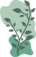 Botanical floral Hand drawn with organic blob shape, leaf and branch element for design png