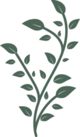 illustration de design plat dessiné à la main feuille florale png