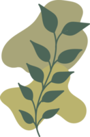 Botanical floral Hand drawn with organic blob shape, leaf and branch element for design png