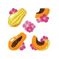 conjunto de papaya, elementos de garabatos dibujados en estilo boceto. papaya entera, partes, rodajas, corazón y flores de hibisco. colección de imágenes de frutas. ilustración vectorial, aislada sobre fondo blanco vector