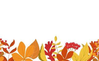 Autumn forest leaves and red berries. Horizontal seamless bottom border frame. Seasonal dry color leaves, red rowan berries. Thanksgiving day, harvest holiday design. Isolated on white background. vector