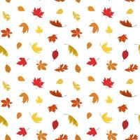 hojas caídas del bosque de otoño. Ilustración de vector estacional de fondo fresco. fondo vectorial específico de la temporada de otoño. roble y arce follaje seco otoño amarillo rojo.