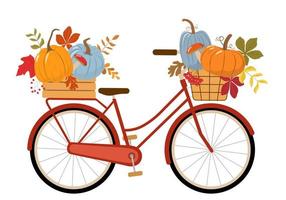 Cute vintage red bicycle, wood crate and basket with pumpkins, colourful autumn leaves, rowan berries, forest mushrooms. Isolated on white background. Vector illustration.