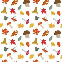 Autumn forest mushrooms, colorful leaves, and red berries. Cute fall seasonal vector illustration. Isolated on white background. Fall season specific.