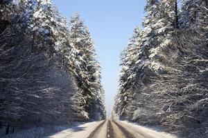 Road in winter photo