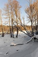 frozen water in the river during frosts photo