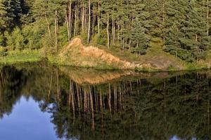 reflection of pines in water photo