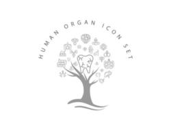 Human organ icon set on white background vector