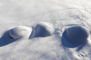 hummocks in the swamp large drifts after snowfalls and blizzards photo