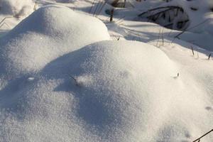 deep drifts of soft snow in the winter season photo