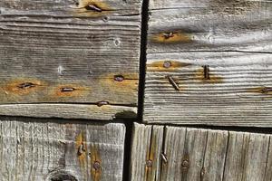 old wooden background photo