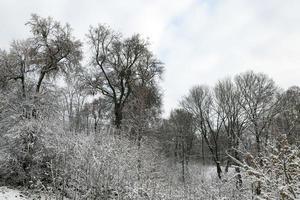 Snow drifts in winter photo