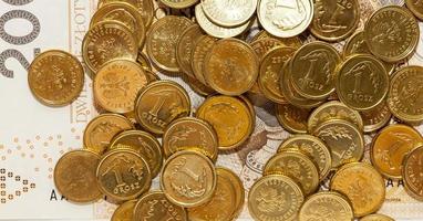 Polish coin money photo