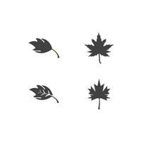 leaf icon vector illustration design template