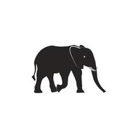 Elephant icon vector