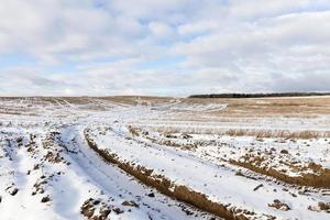 Winter season, field photo