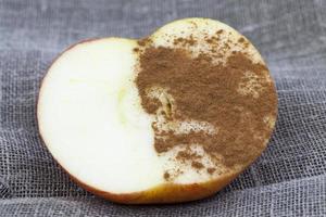 half apple, close up photo