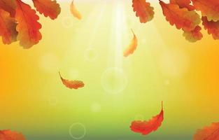 fondo de otoño con hojas caídas y rayos de sol vector