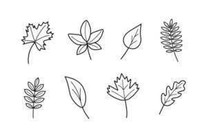 Tree leaves, doodle set of leaves, maple oak viburnum aspen birch rowan vector