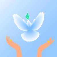 Flying dove. Blue background with bright rays. Easter. The symbol of purity. Christian faith. Holy Spirit. Vector. vector