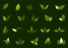 Logo of green leaf. Ecology nature element vector icon. Eco vegan bio. Vector illustration