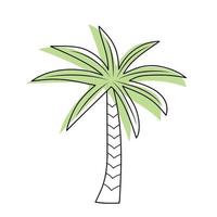 Palm tree isolated on white background. vector