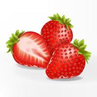 Vector 3D Illustration Realistic Sliced Strawberries Illustration in White Background