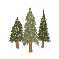 Vector colorful illustration of Christmas trees forest isolated on white background