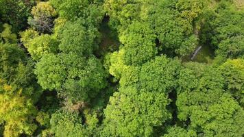 riprese aeree e vista dall'alto della campagna britannica e della natura in inghilterra, riprese del drone video