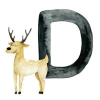 watercolor drawing. Educational card with letter D, English alphabet. Letter D and Deer drawing, cute forest animals vector