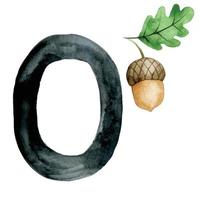 watercolor drawing. Card with letter O. Alphabet for children with forest animals. cute drawing acorn, oak vector