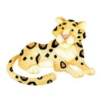 dibujo de acuarela. lindo personaje de jaguar. aislado sobre fondo blanco animal leopardo, gypard. dibujo para niños animales del bosque, zoológico vector