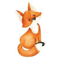 watercolor drawing cute fox. illustration for children, forest animals vector