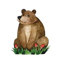 watercolor drawing, clipart. cute bear character. children's illustration forest animal brown bear. vector