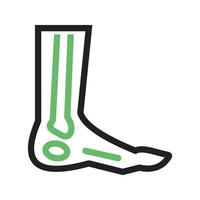 Foot Skeleton Line Green and Black Icon vector