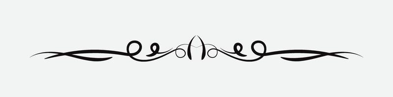 Text Divider with black color isolated on white background vector
