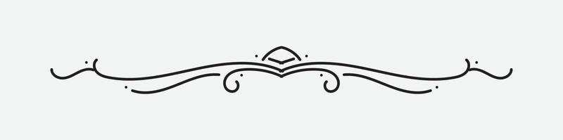 Text Divider with black color isolated on white background vector