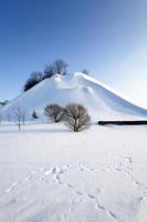 snow covered hill photo