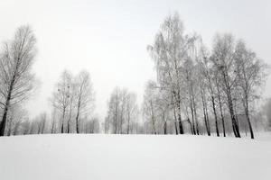 tiempo de invierno, nieve foto