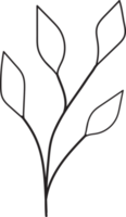 disegno del profilo delle foglie tropicali, illustrazione floreale di stile minimale png