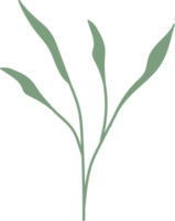 hojas tropicales de color verde, ilustración floral de estilo minimalista png