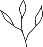 tropische bladeren schetsontwerp, minimalistische stijl bloemenillustratie png