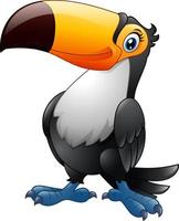 Cartoon toucan bird vector