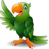 Cartoon green parrot waving vector